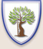 Orthopaedic Board Review Course